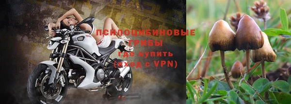 ALPHA-PVP Алексин